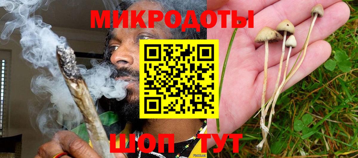 Псилоцибиновые грибы Cubensis  Вход с VPN  Моздок 