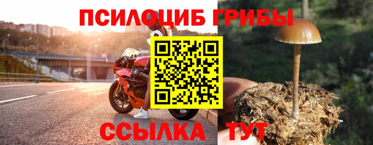 Галлюциногенные грибы мухоморы Моздок
