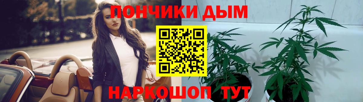 МАРИХУАНА SATIVA & INDICA Моздок